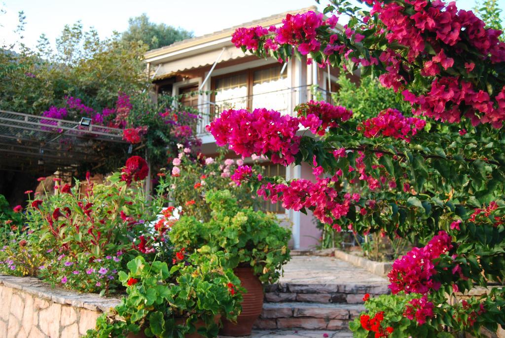 Villa Niki Plataria Dış mekan fotoğraf