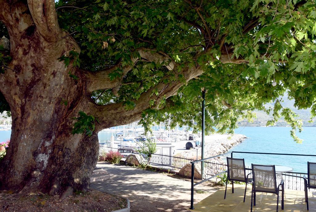 Villa Niki Plataria Dış mekan fotoğraf